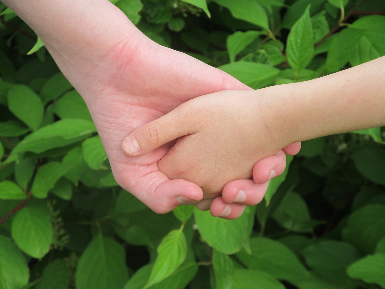 Image - hands friendship love trust