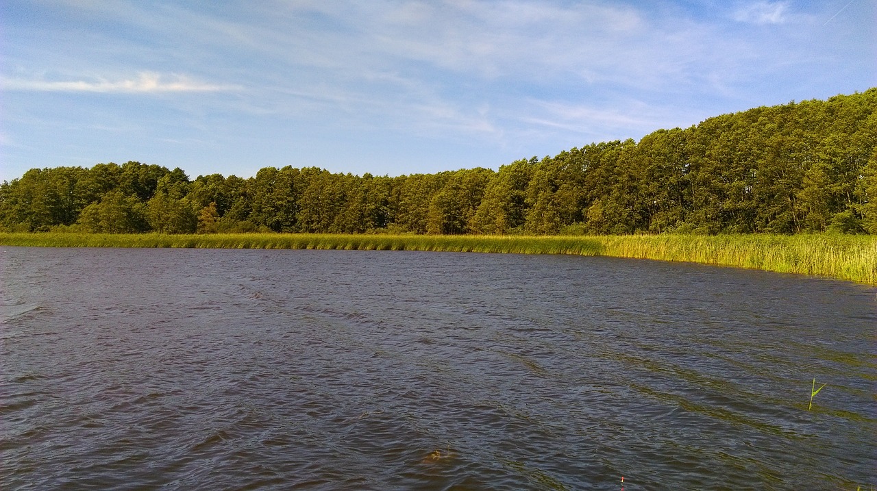 Image - water lake nature pond lagoon