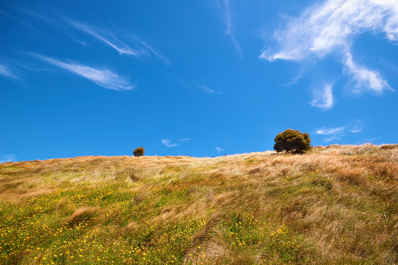 Image - background the scenery prairie