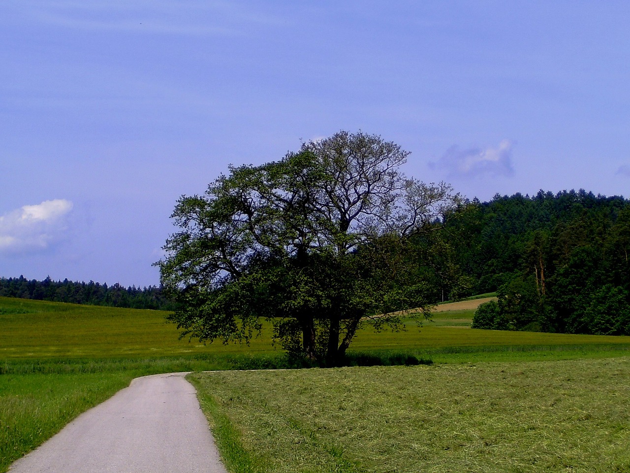 Image - summer landscape away reported