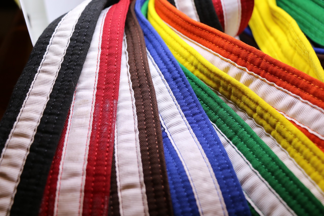 Image - karate martial arts belts rank