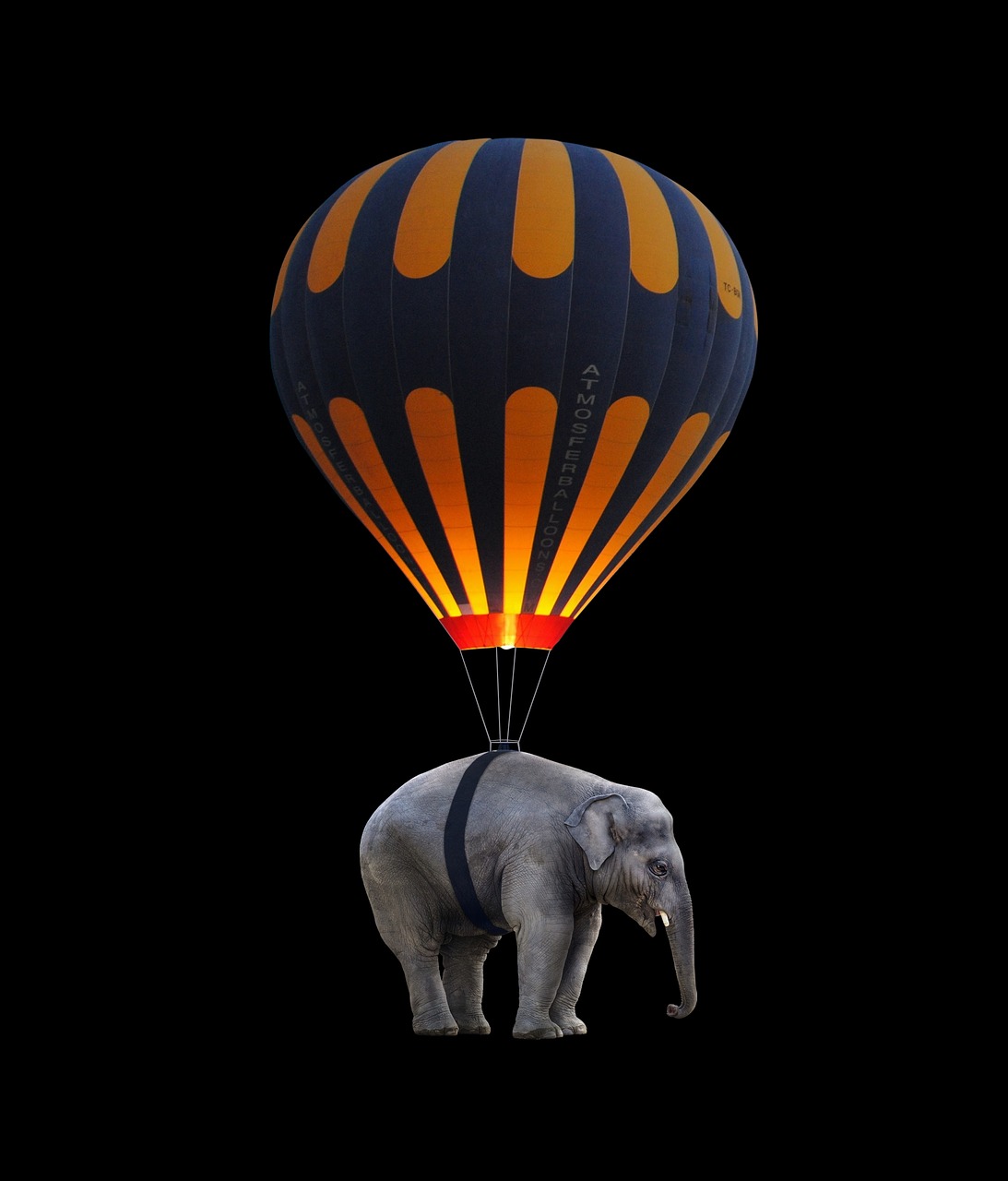 Image - elephant balloon fly weightless