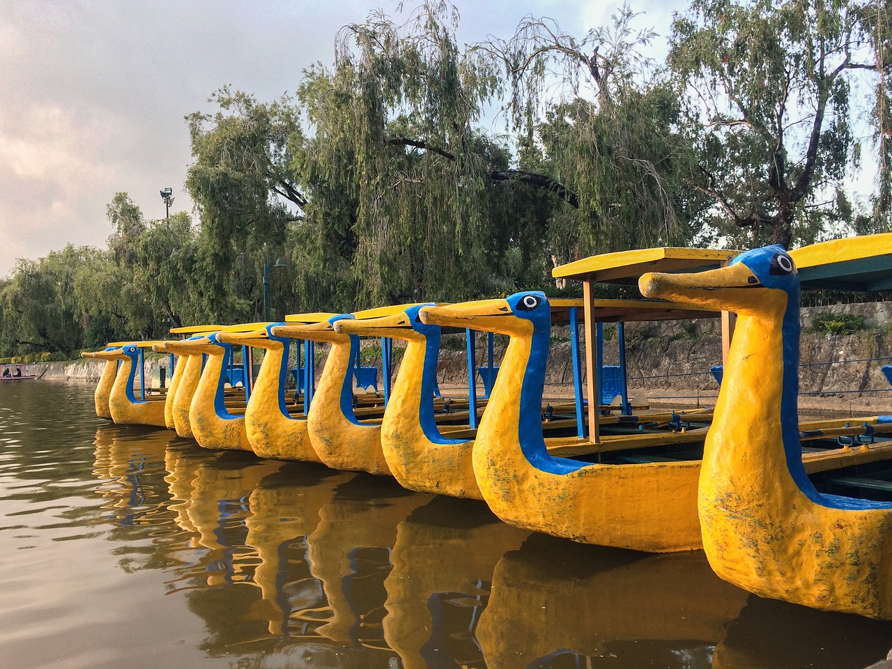 Image - duck boat lake afternoon yellow