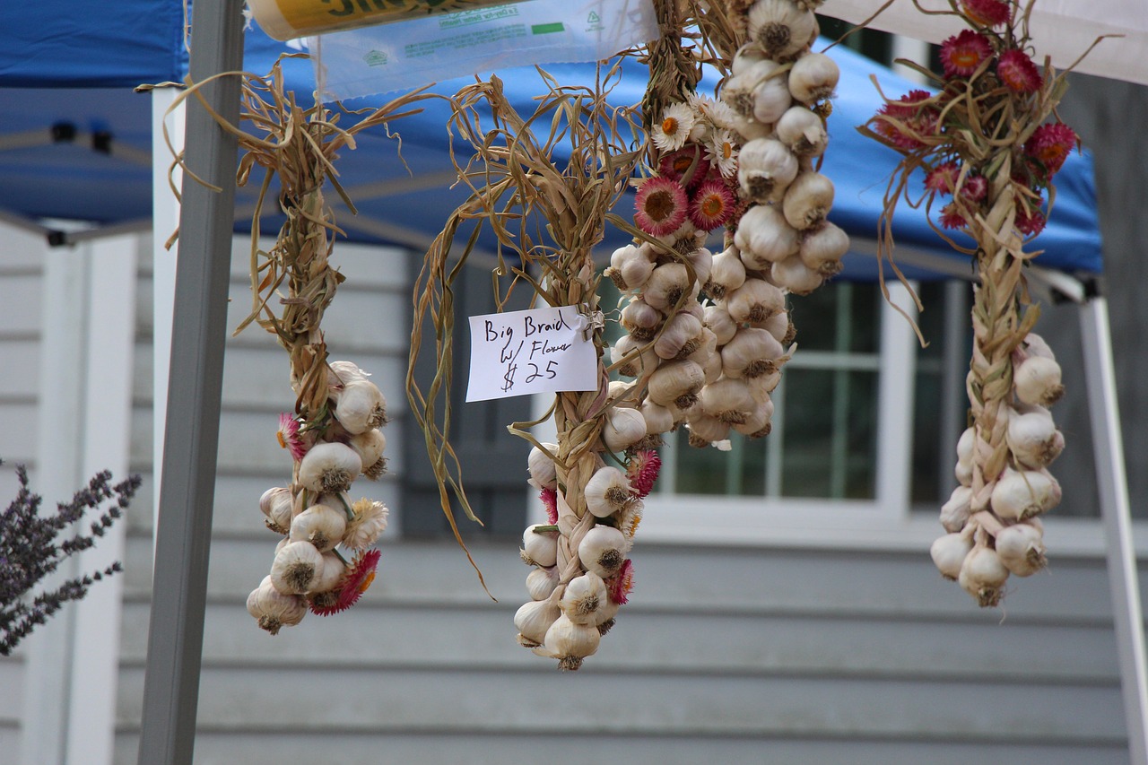 Image - garlic festival food cooking