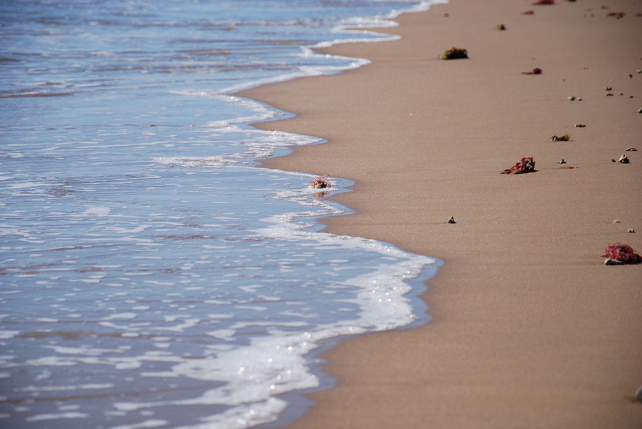 Image - foam ocean water beach sand wave