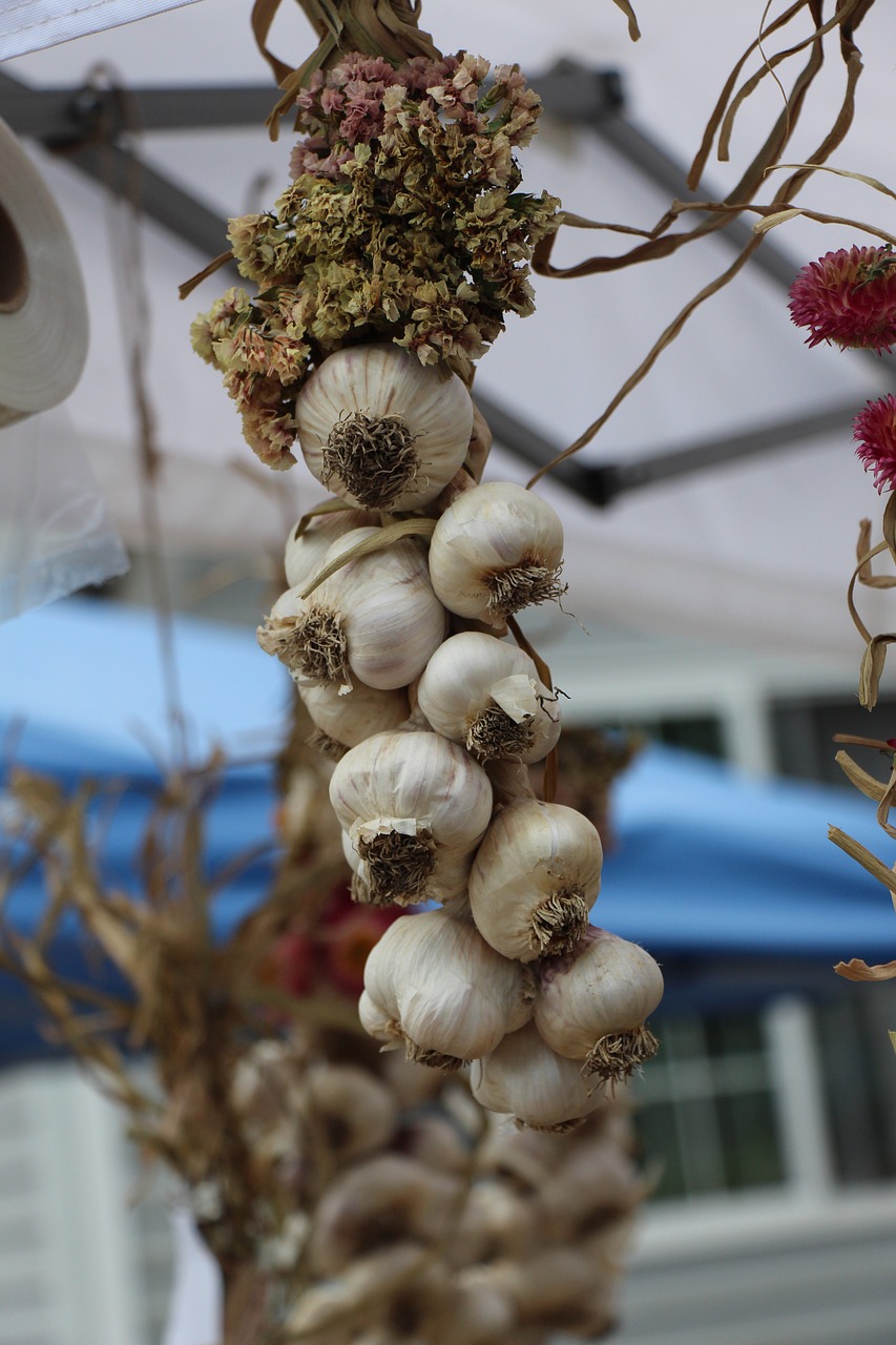 Image - garlic garlic head food fresh