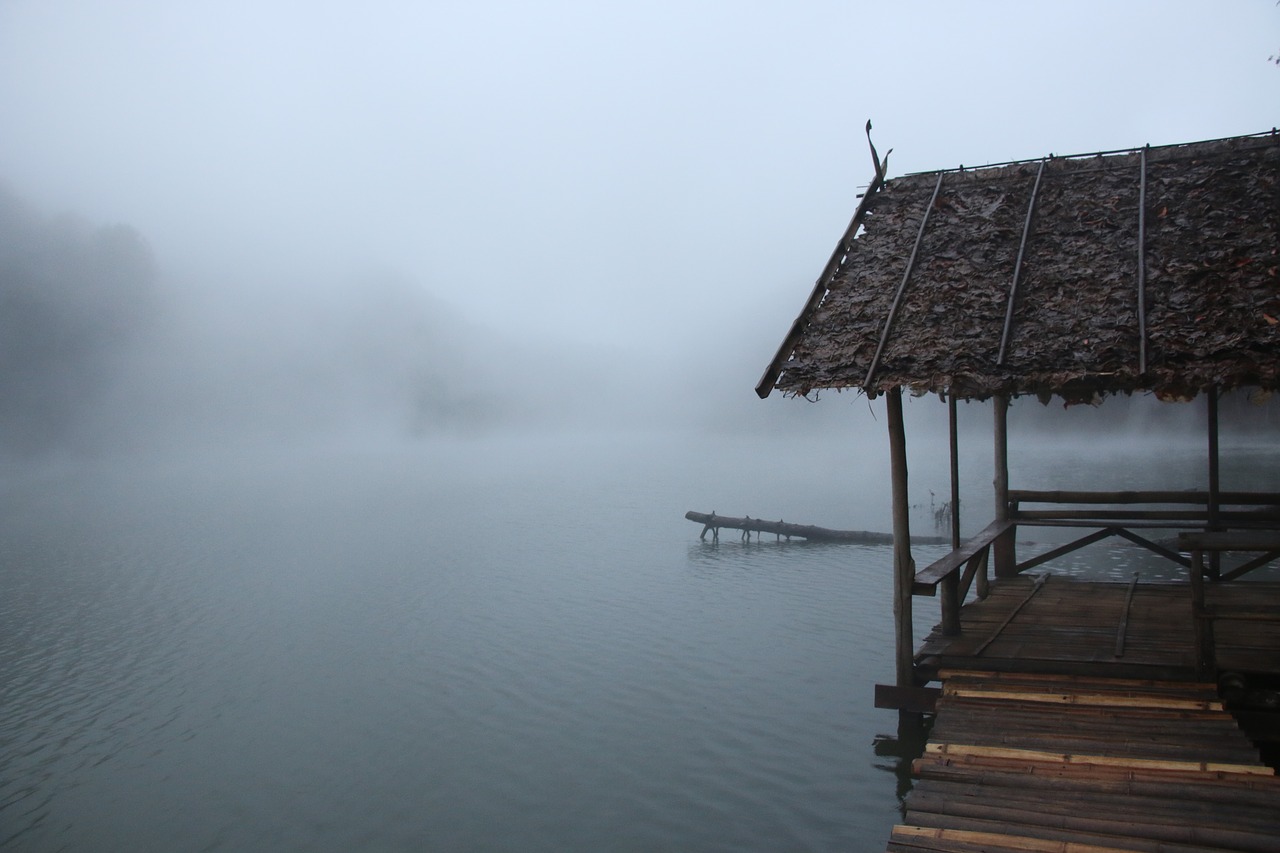 Image - the mist its freezing peace of mind