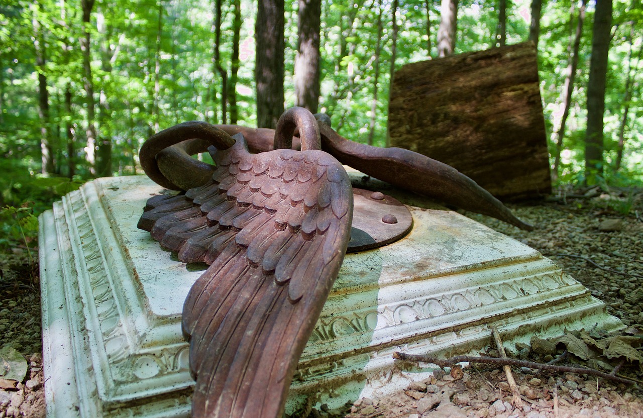 Image - wings steel art sculpture nature