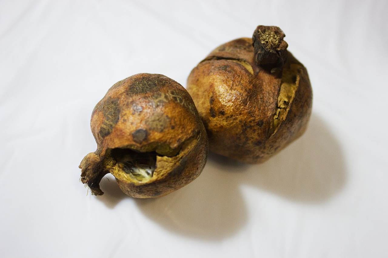 Image - pomegranate dried fruits berry