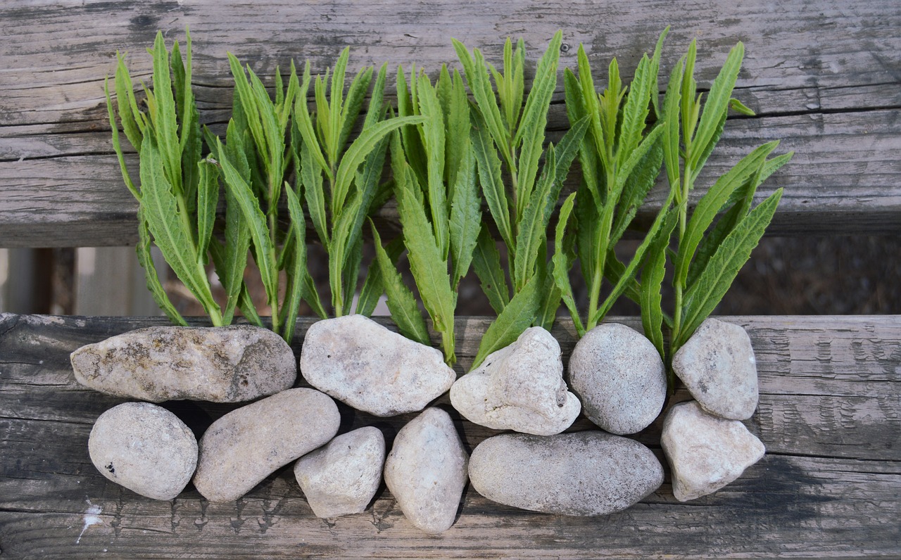 Image - background rustic stones wood