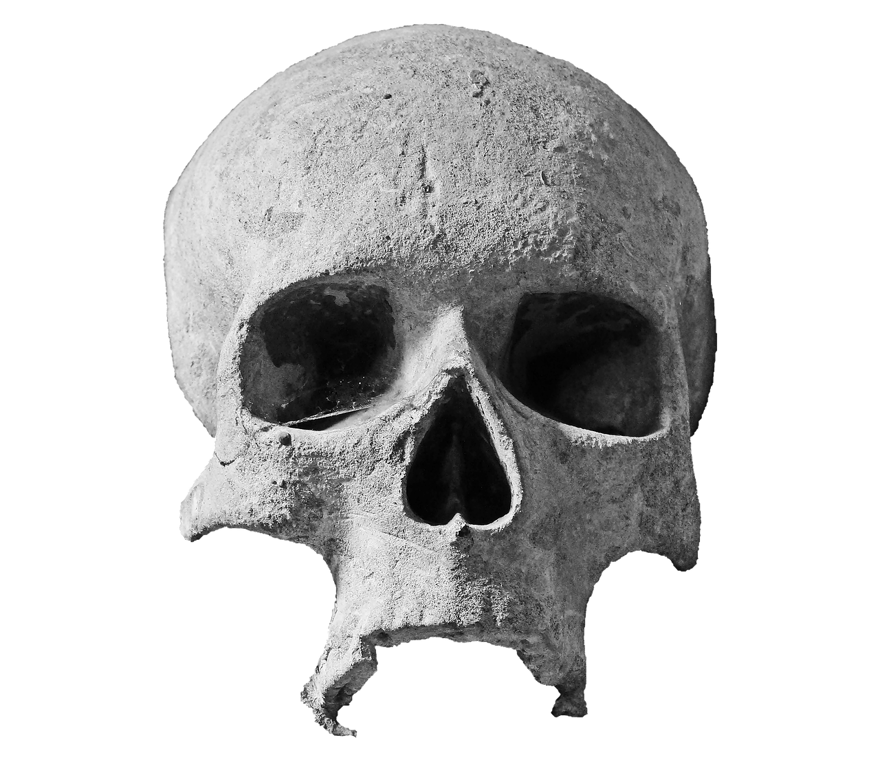 Image - skull stone skull head spiritual