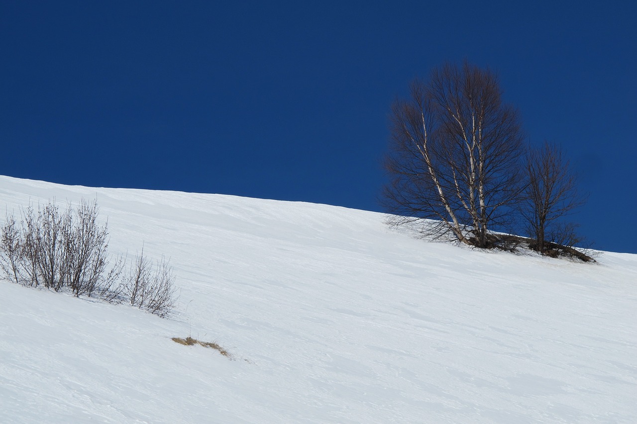 Image - canada beach dune snow
