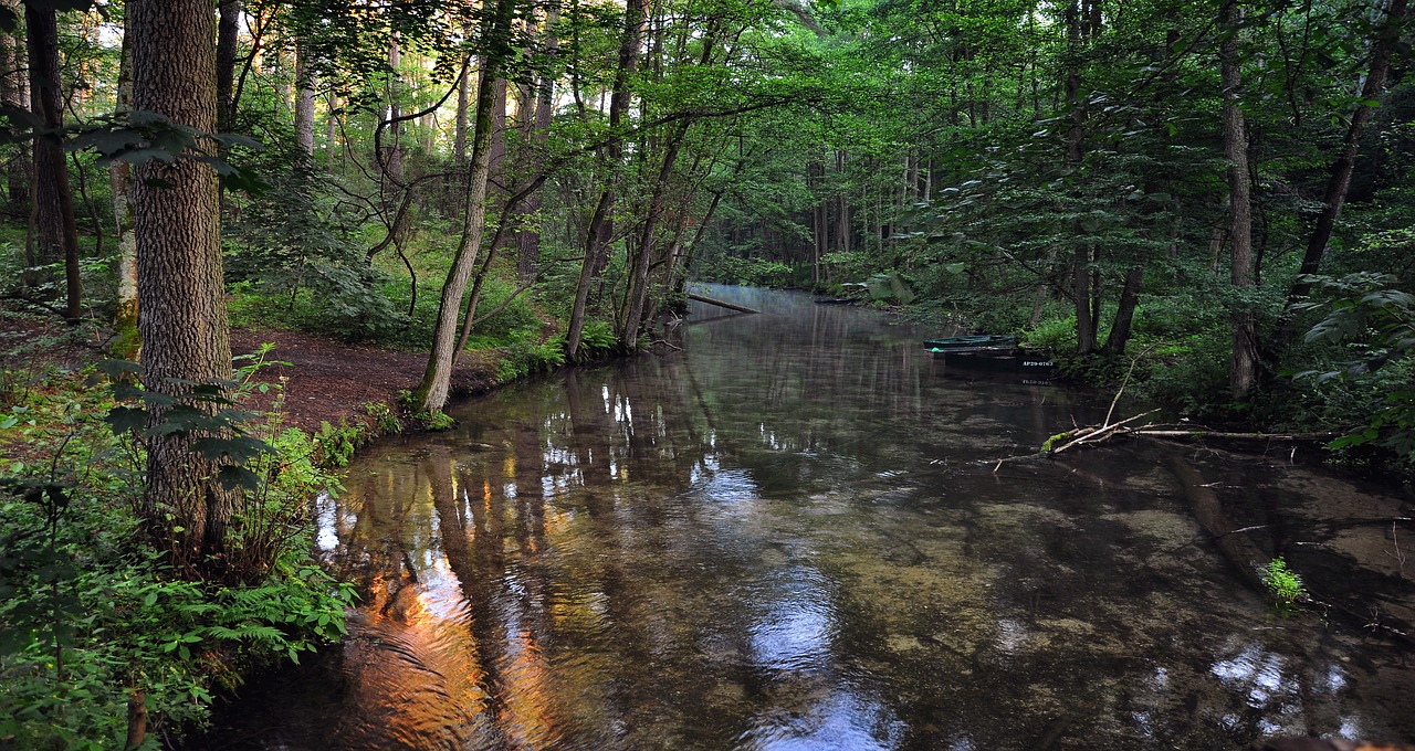 Image - river morning stream nature water