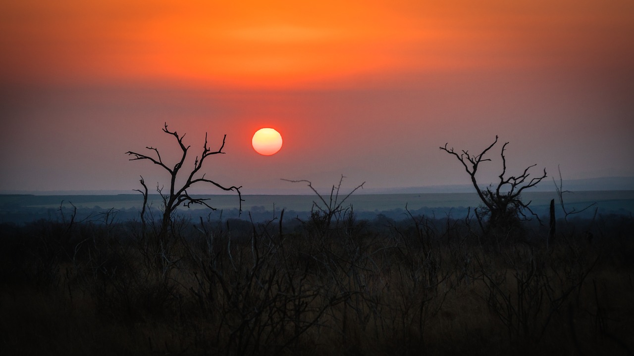 Image - swaziland africa natural savannah