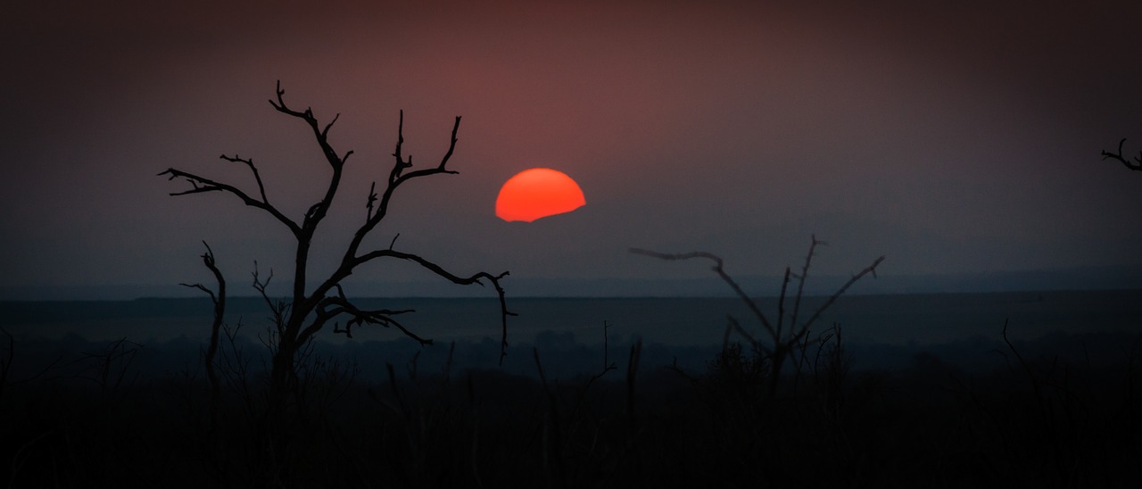 Image - swaziland africa natural savannah