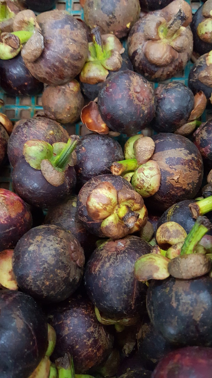 Image - purple mangosteen fruits mangosteen