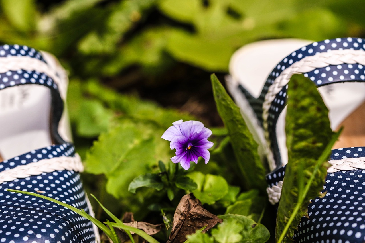 Image - pansy flower summer flower clogs