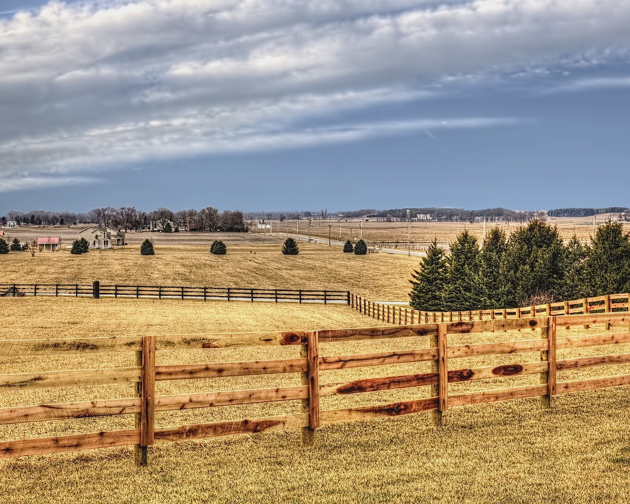 Image - scenery fence trees artistic