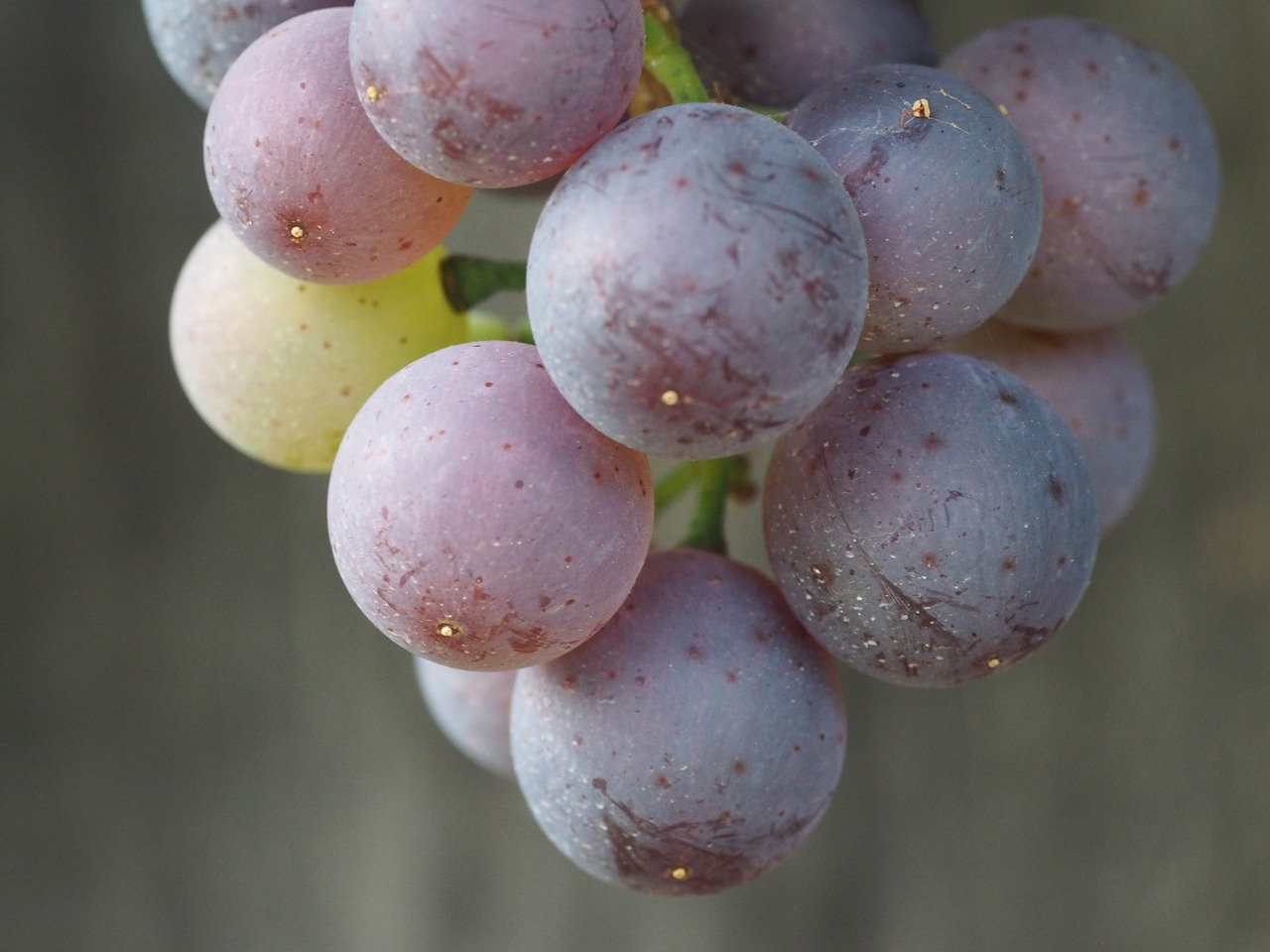 Image - grape fruit grapes eat healthy