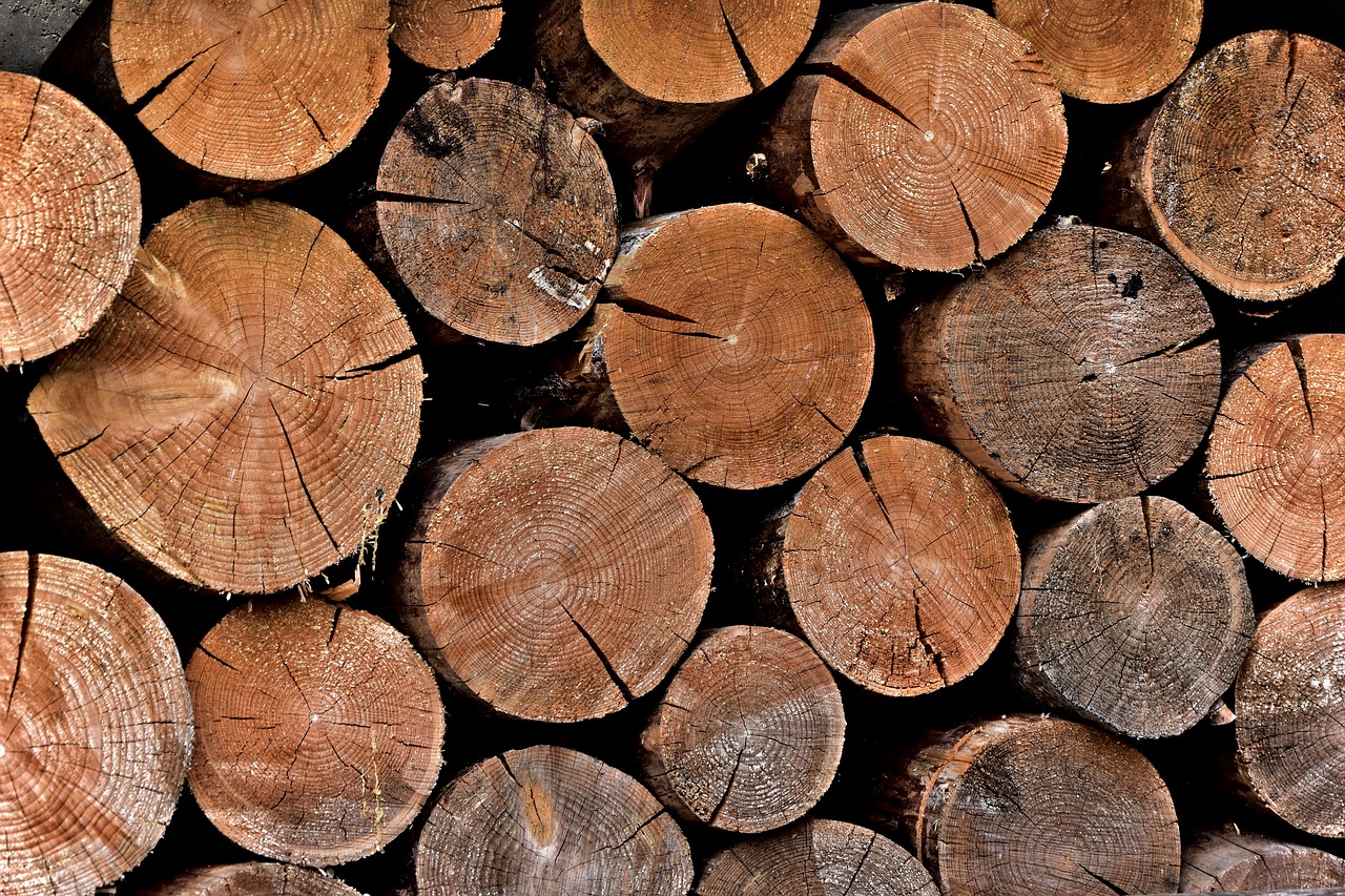 Image - wood tree pile brown nature