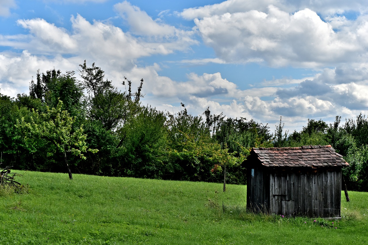 Image - sky cloud tree grass hut roof