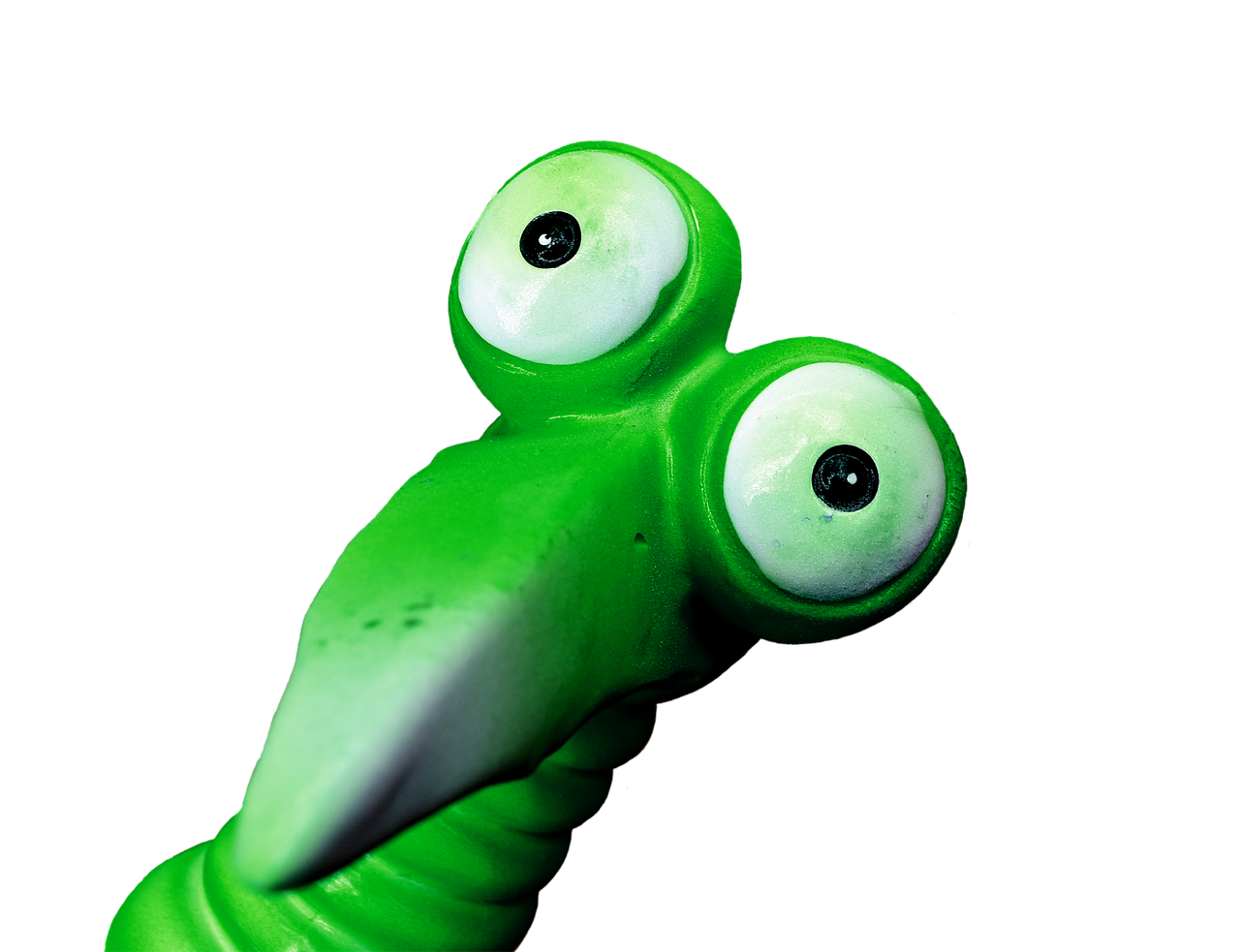 Image - joker green funny weird bird cute