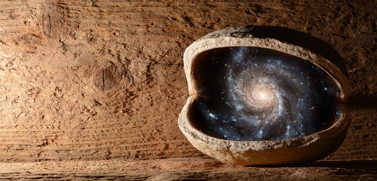 Image - nut walnut universe