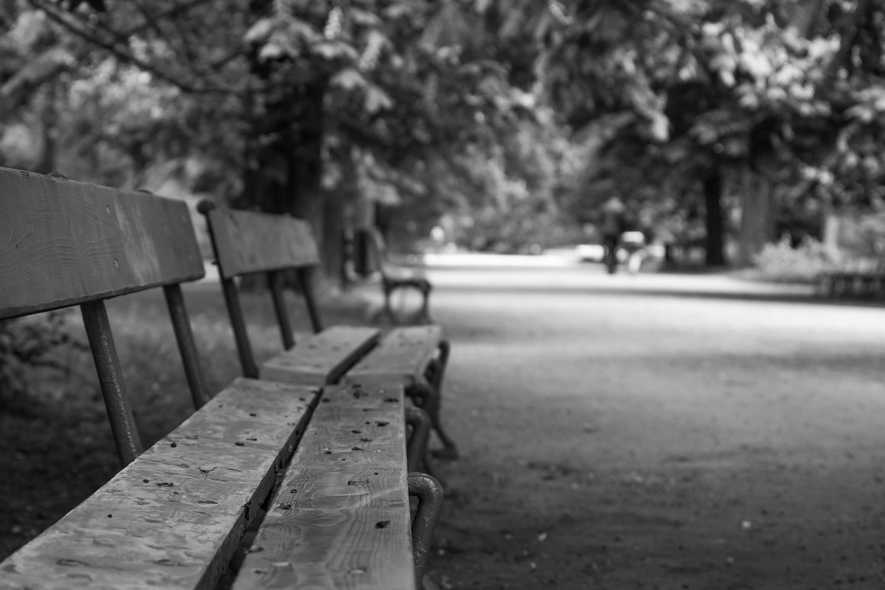 Image - bench park bokeh empty autumn