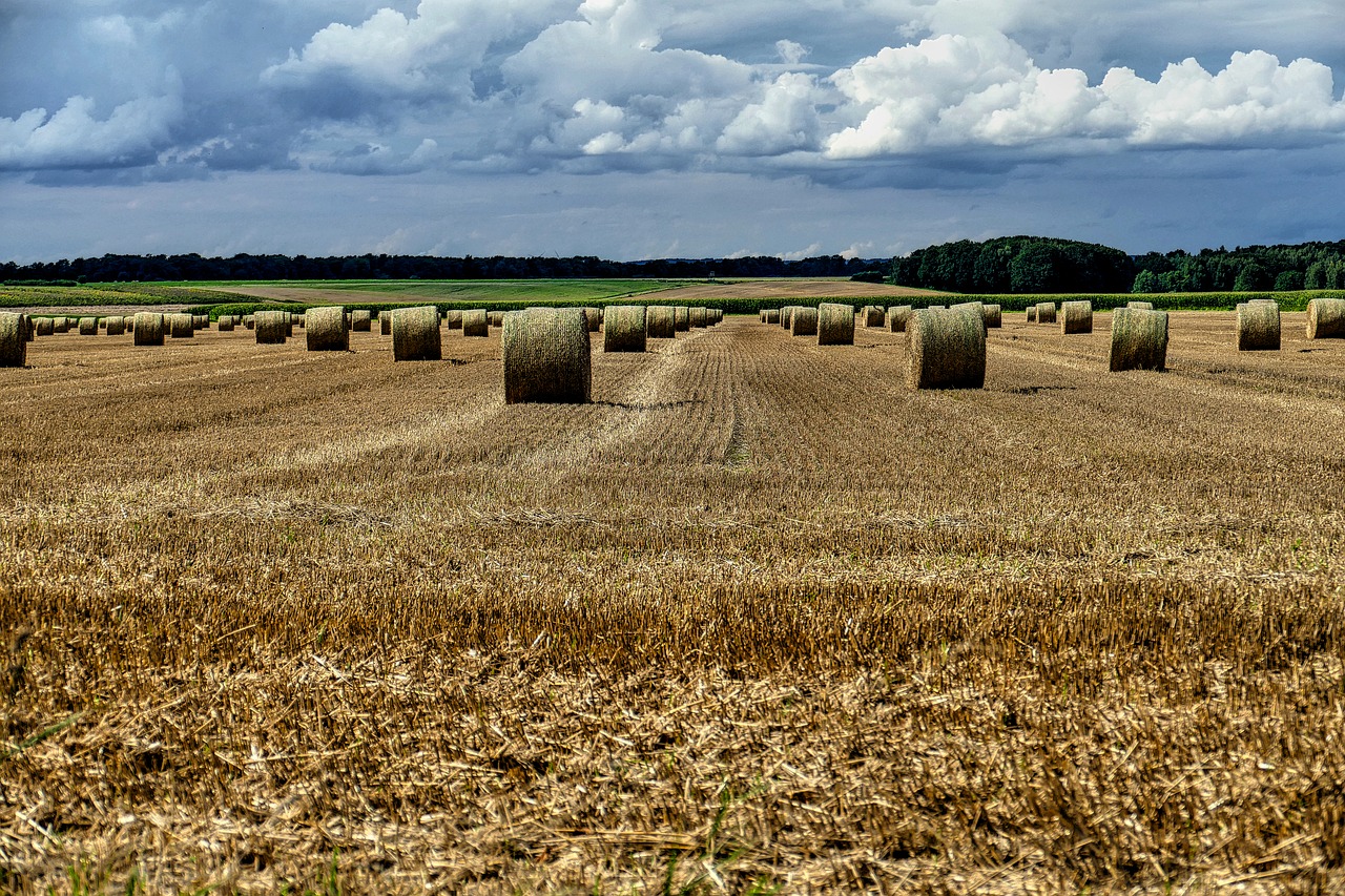Image - straw bales arable field
