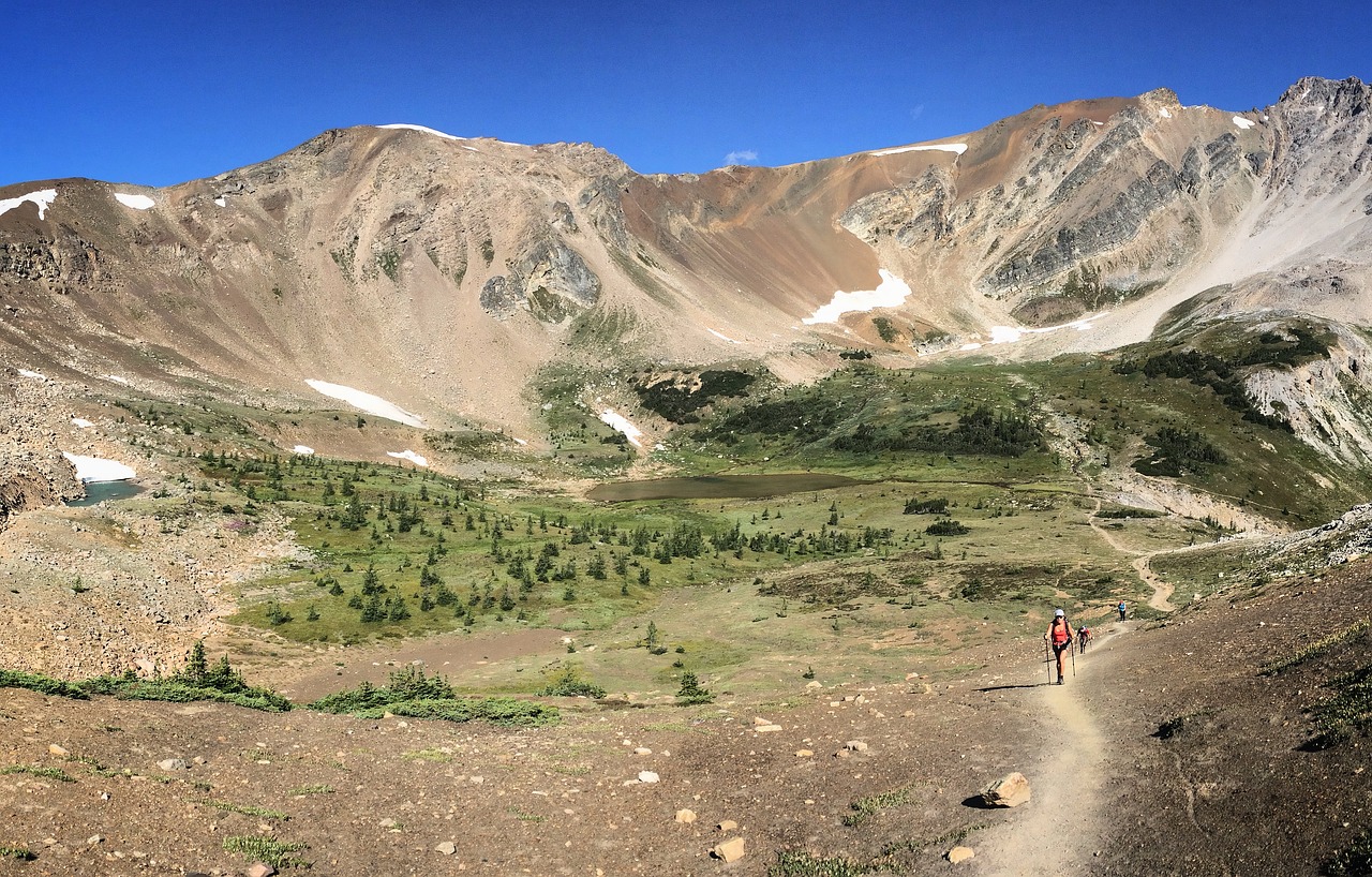 Image - trail alpine mountain nature