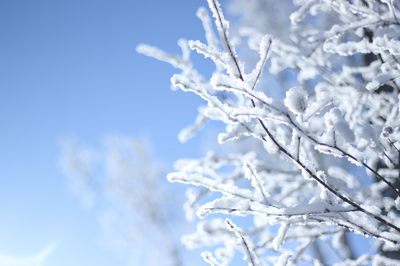 Image - snow harbin winter