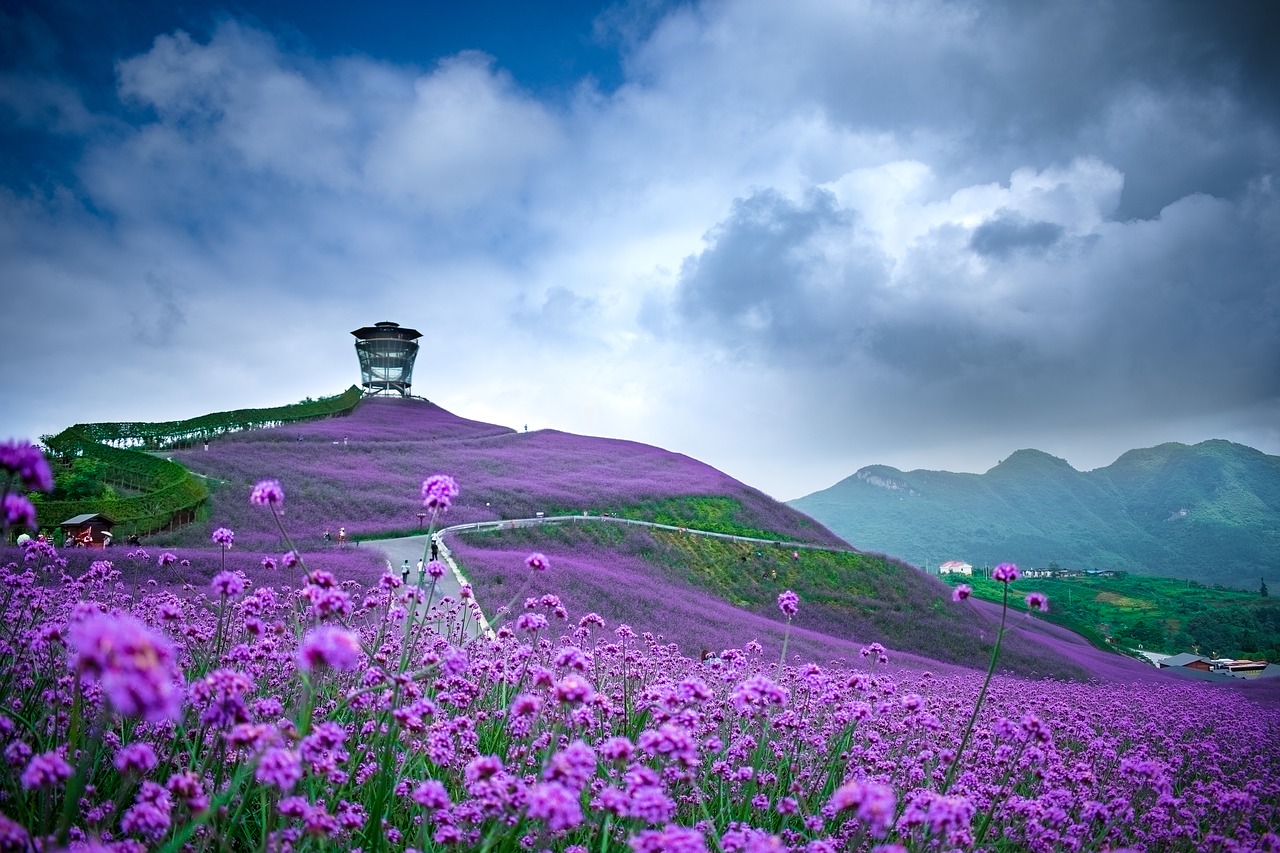 Image - china guizhou tongzi