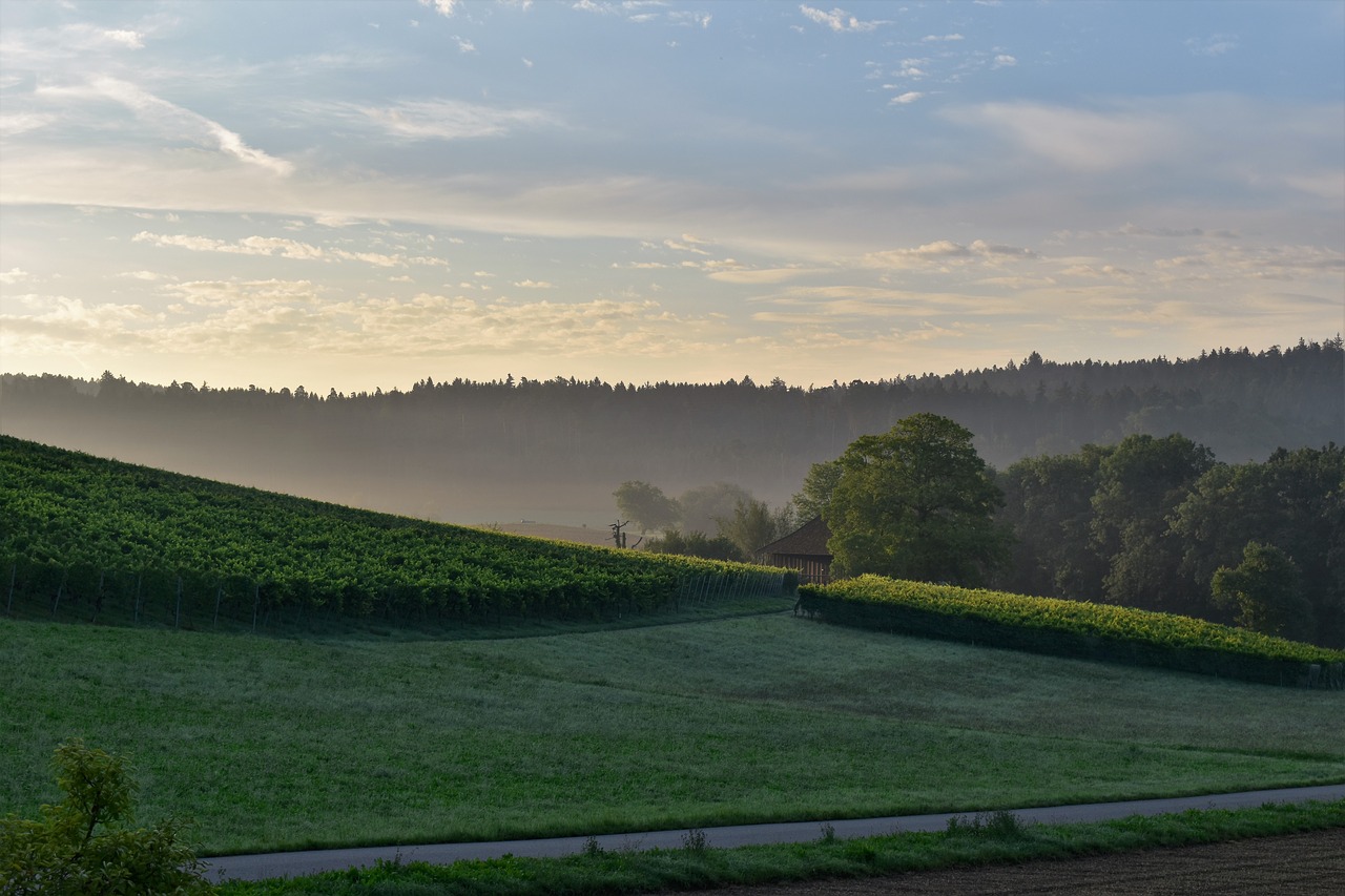 Image - landscape view sunrise nature