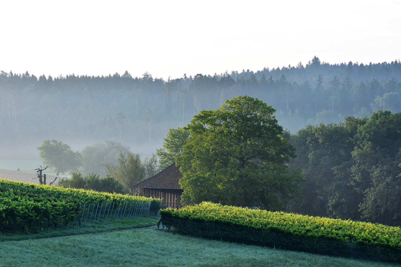 Image - landscape view sunrise nature