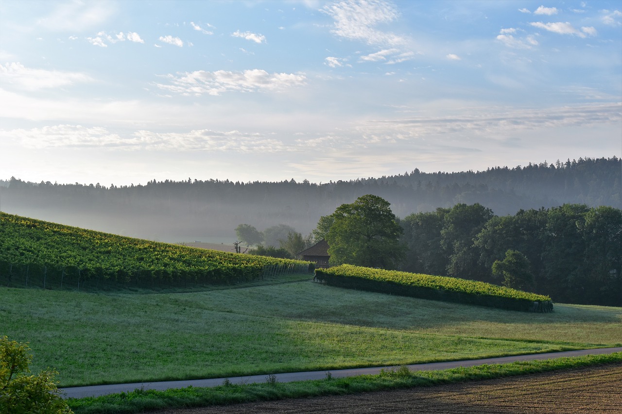 Image - landscape view sunrise nature