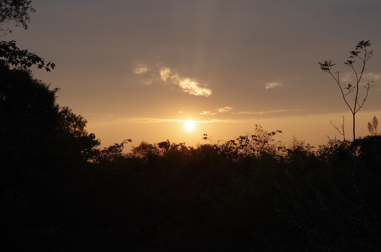 Image - sunset the west creek wetlands