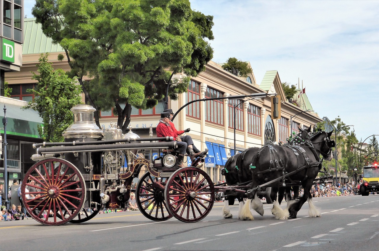 Image - coach horse and carriage antique car