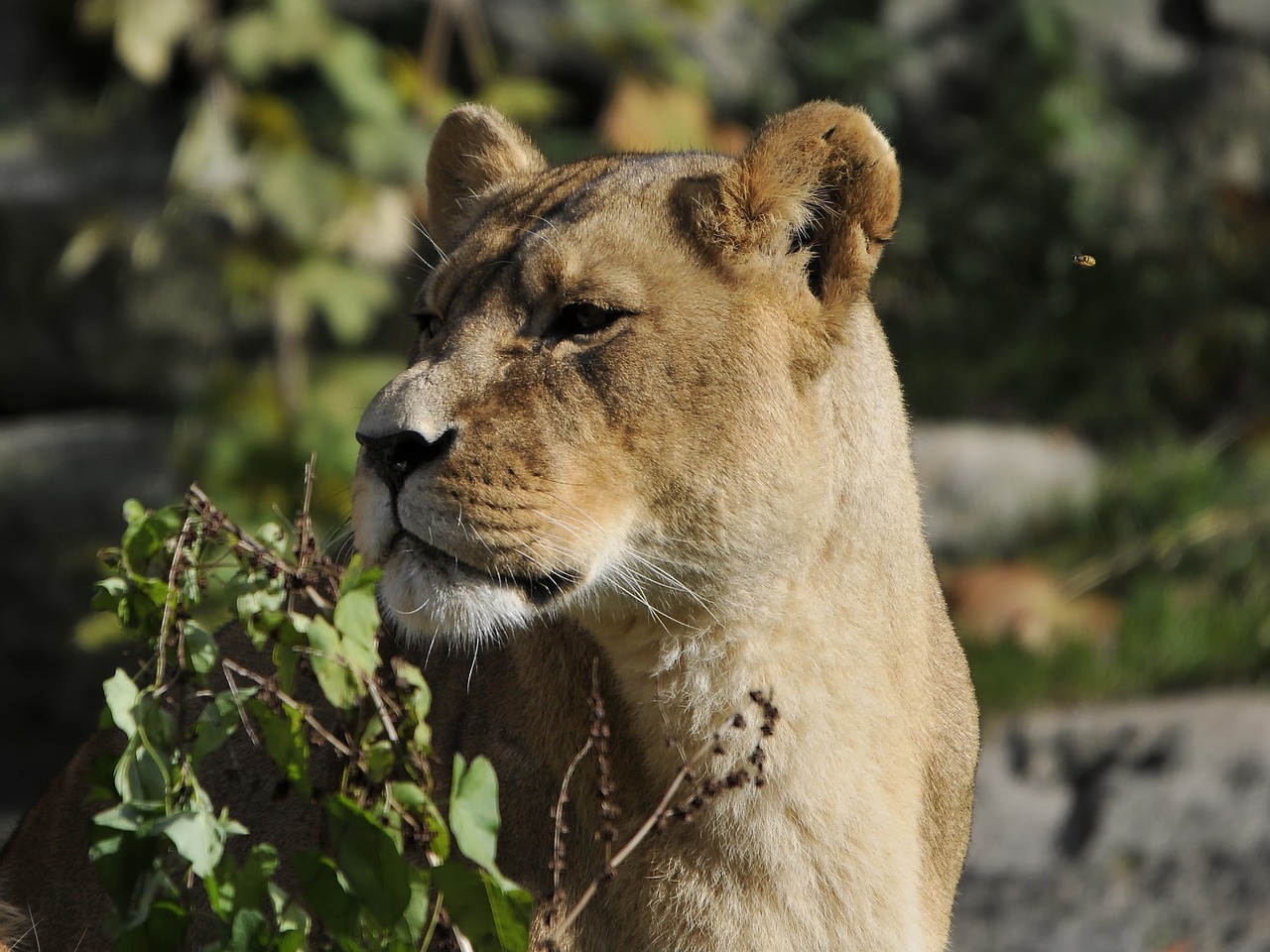 Image - zoo hellabrunn munich