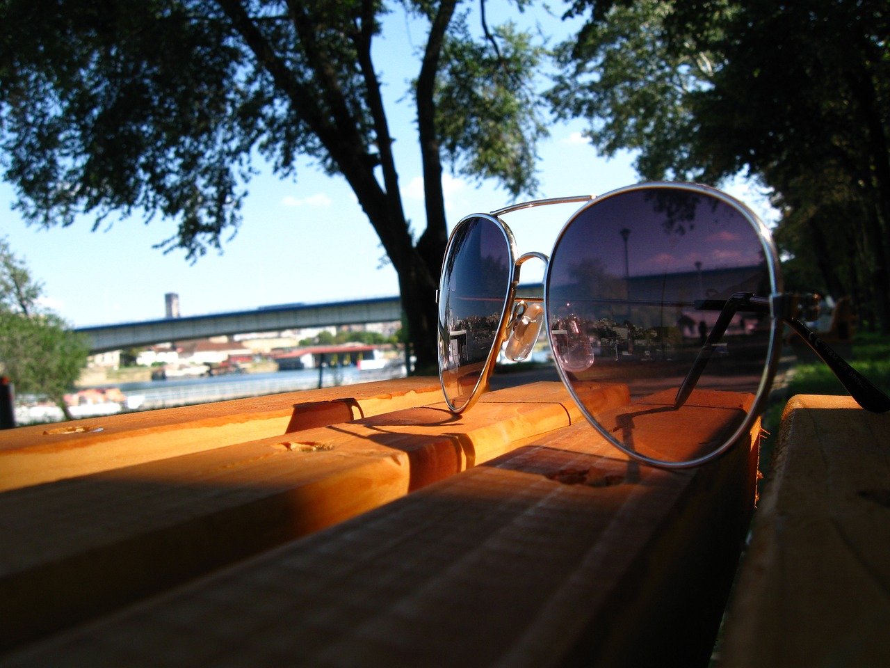 Image - sunny day sun glasses bench tree