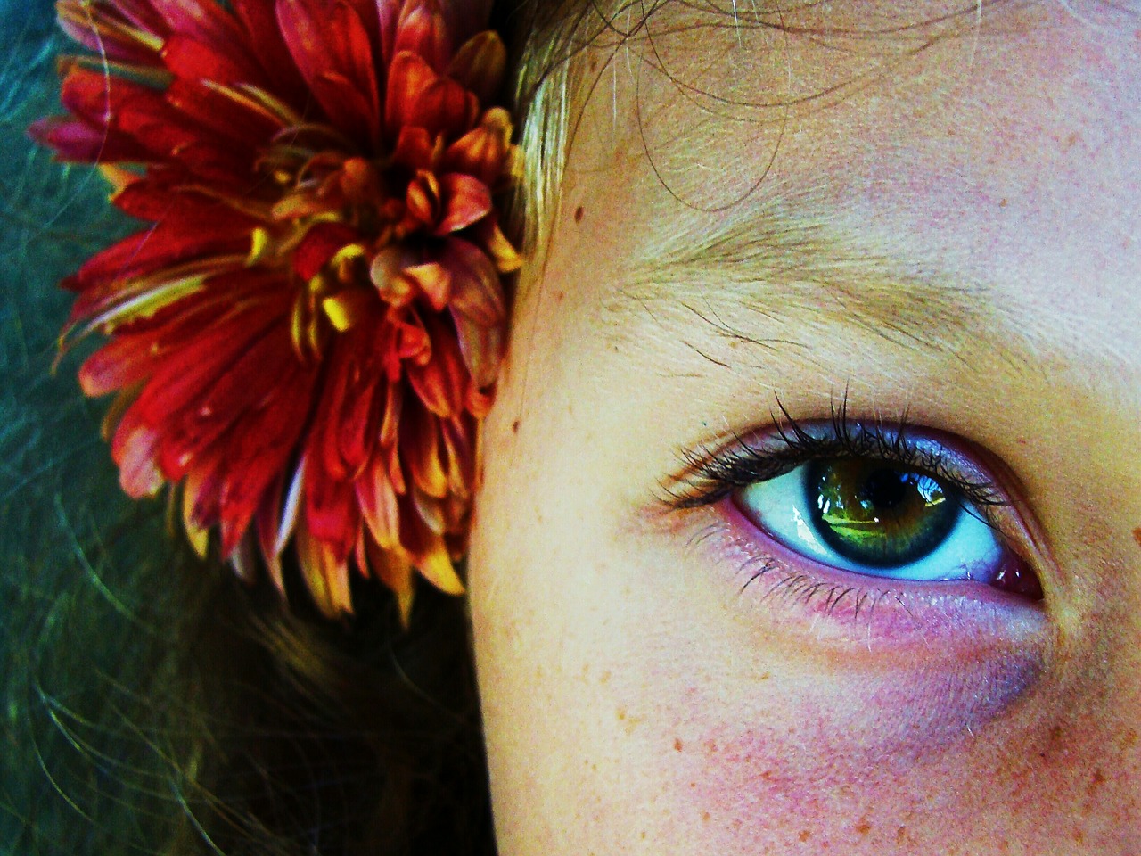 Image - green walnut eyes eye macro