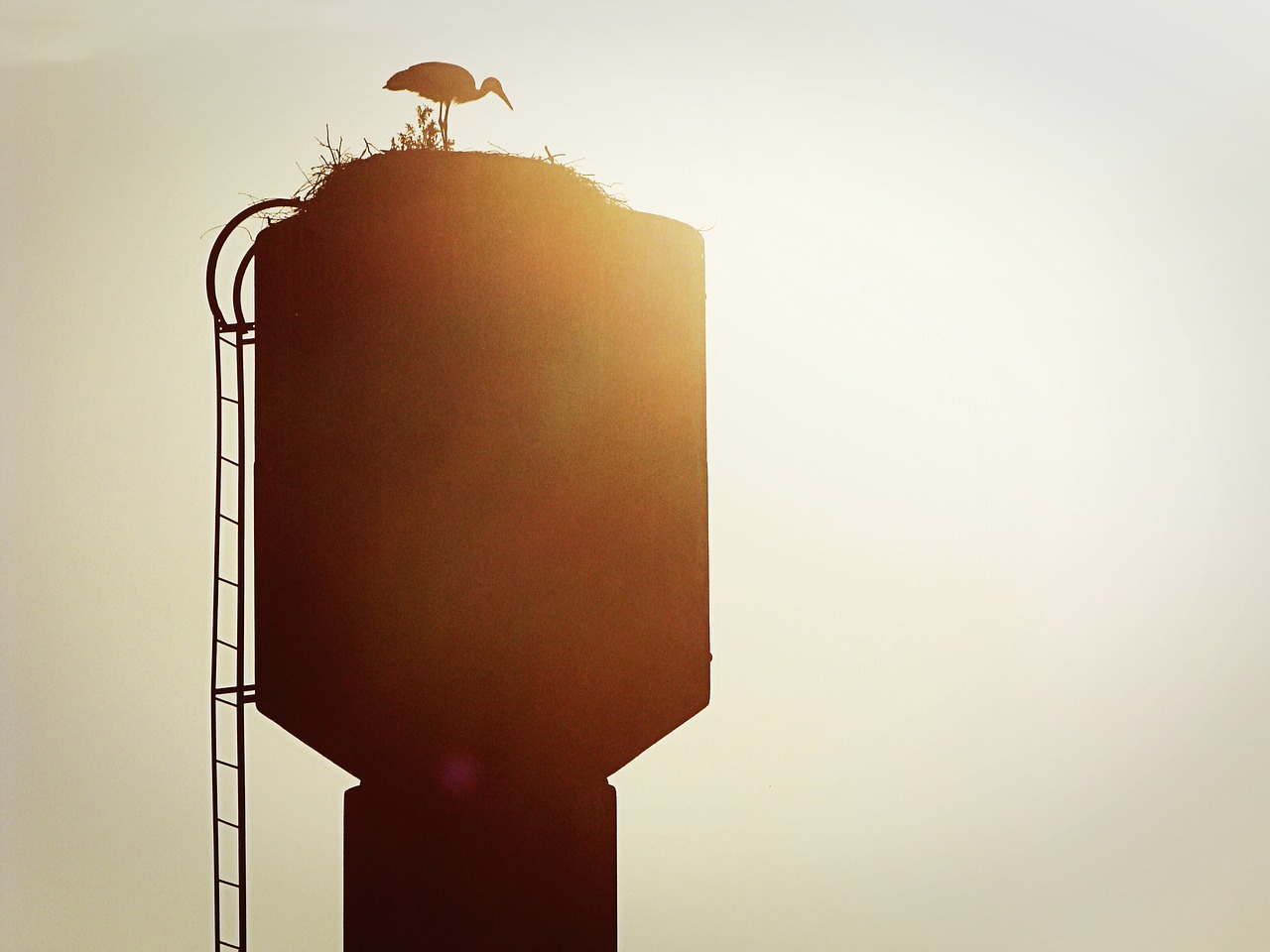 Image - heron water tower silhouette sun