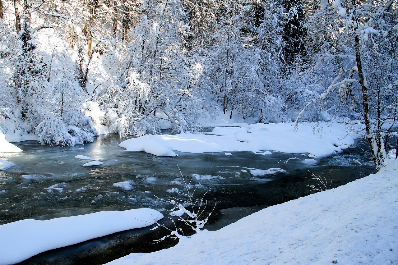 Image - winter river trees snow bach