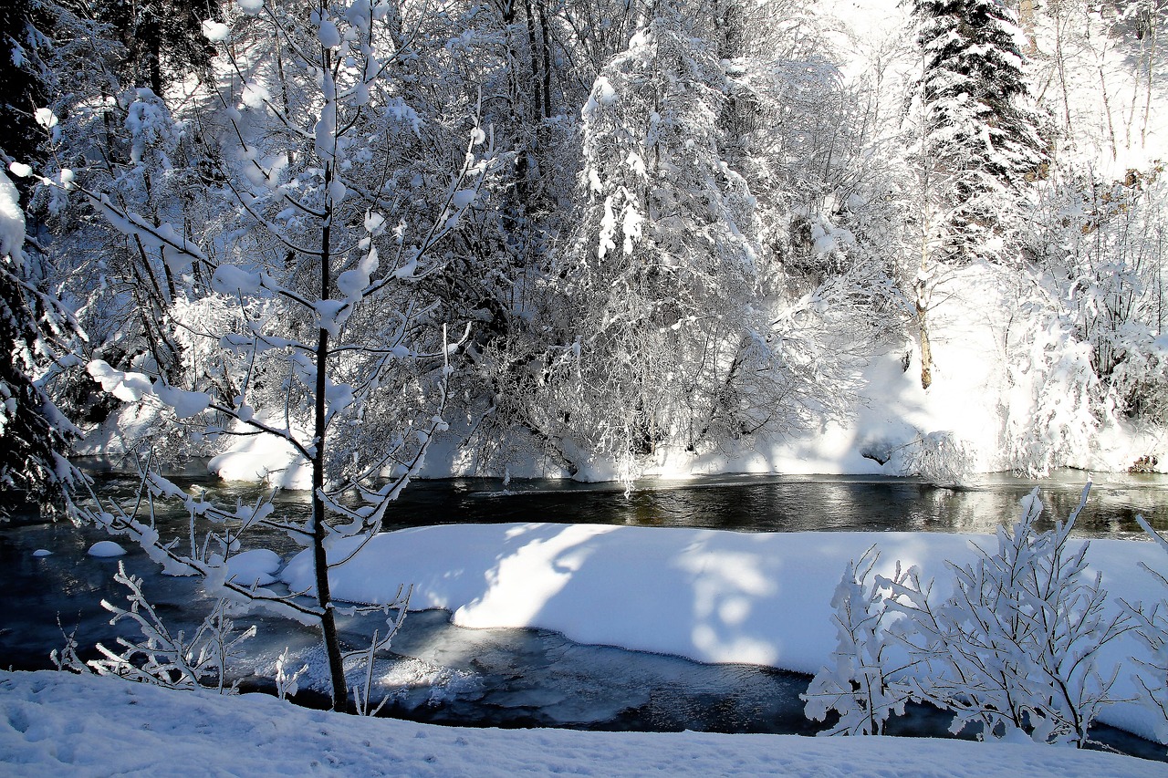 Image - winter trees snow river bach