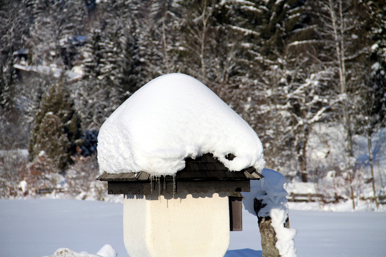 Image - winter snow forest snow cover icy