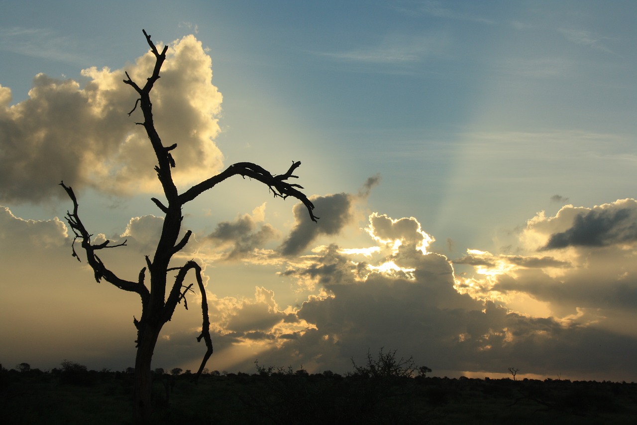 Image - african sunset silver lining