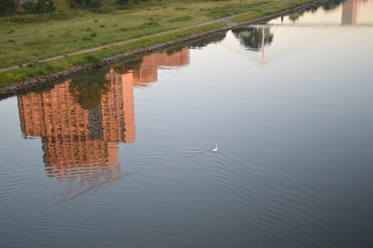 Image - mannheim neckar water reflection