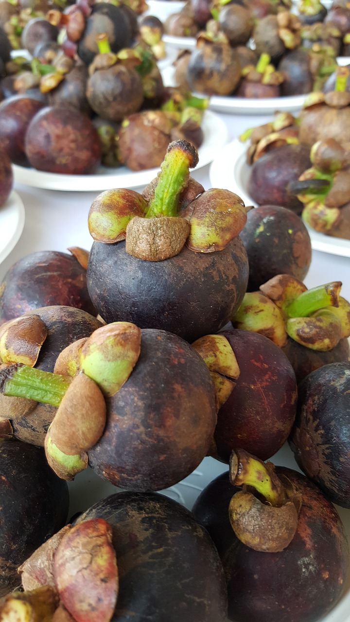 Image - fruits mangosteen food tropical