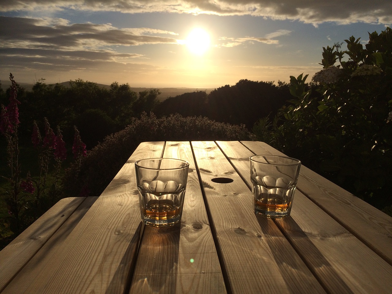 Image - sunset sunrise glass whiskey wood