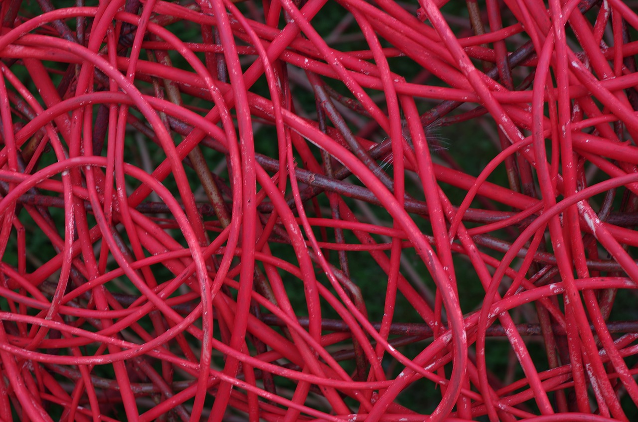 Image - red hazel twigs woven entwined