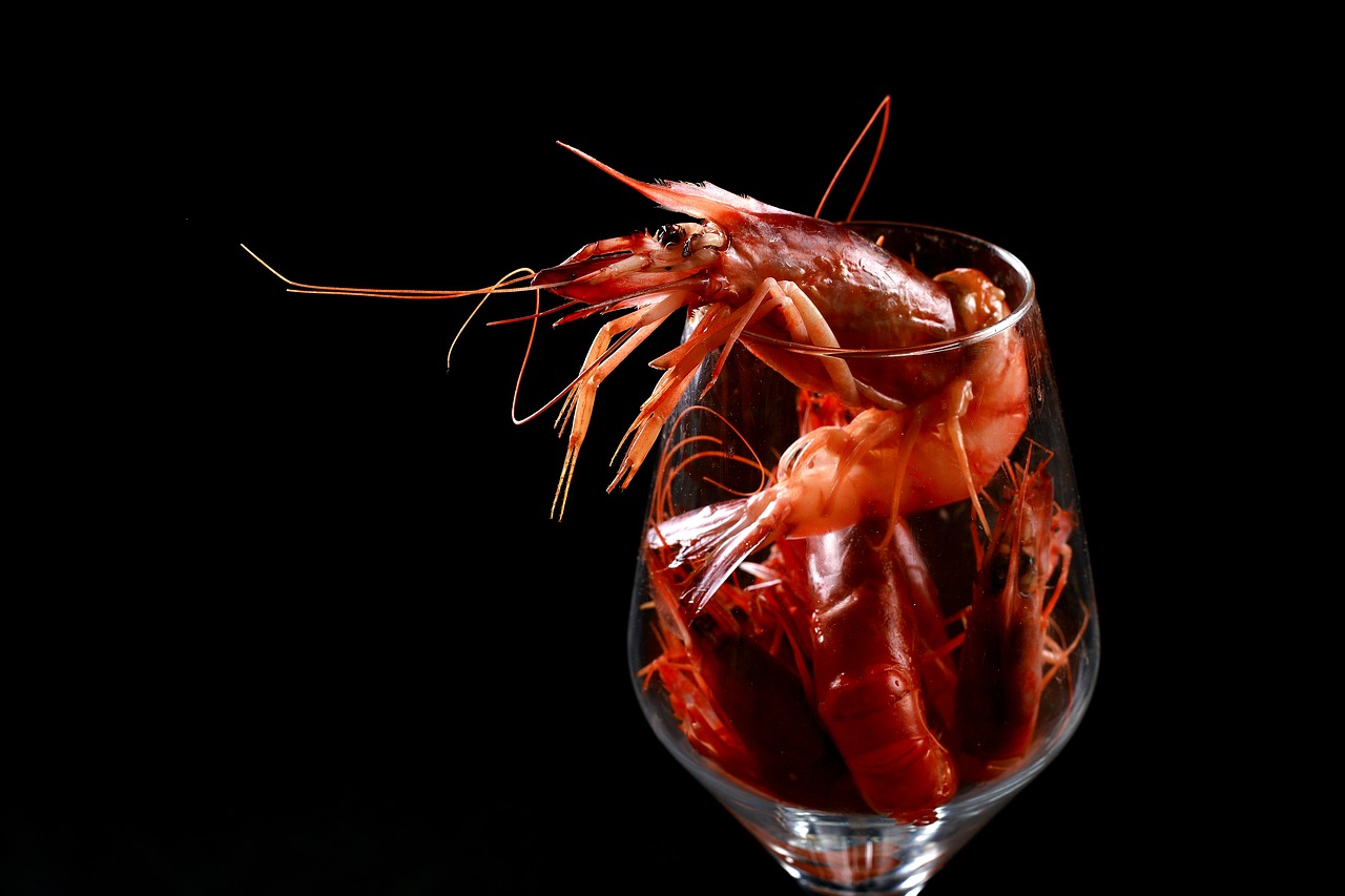 Image - shrimp food red nutrition